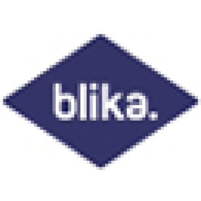 Blika Værktøjstavle 141F0039, 960 x 948 mm