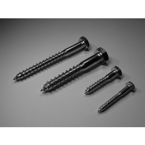 Fransk skrue FZV din 571, 10 x 65 mm