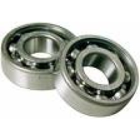 SKF sporkugleleje m/låseringsspor, 6006-2RS1NR