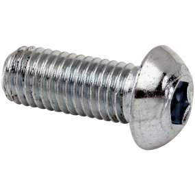 Insex BH 10.9 ISO 7380, 8 x 40 mm