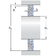 SKF lameltætning, Z 010 F
